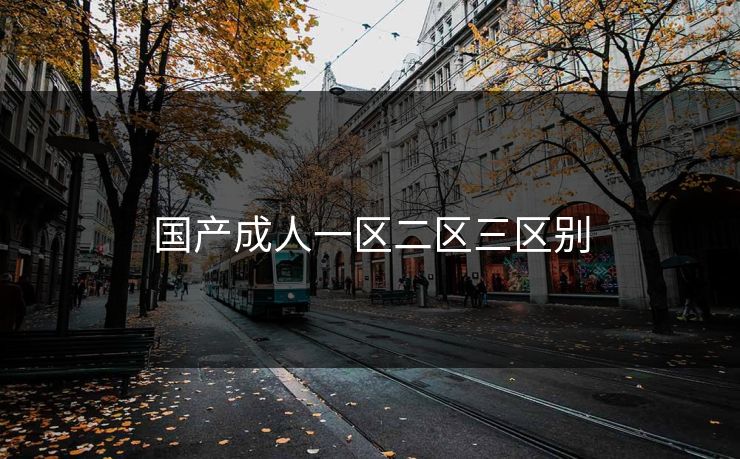 国产成人一区二区三区别